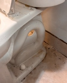 Bathroom Baseboard & Tile Detail Project