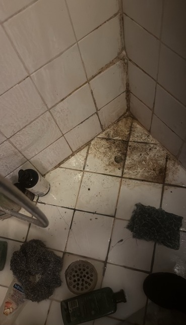 Standard Cleaning