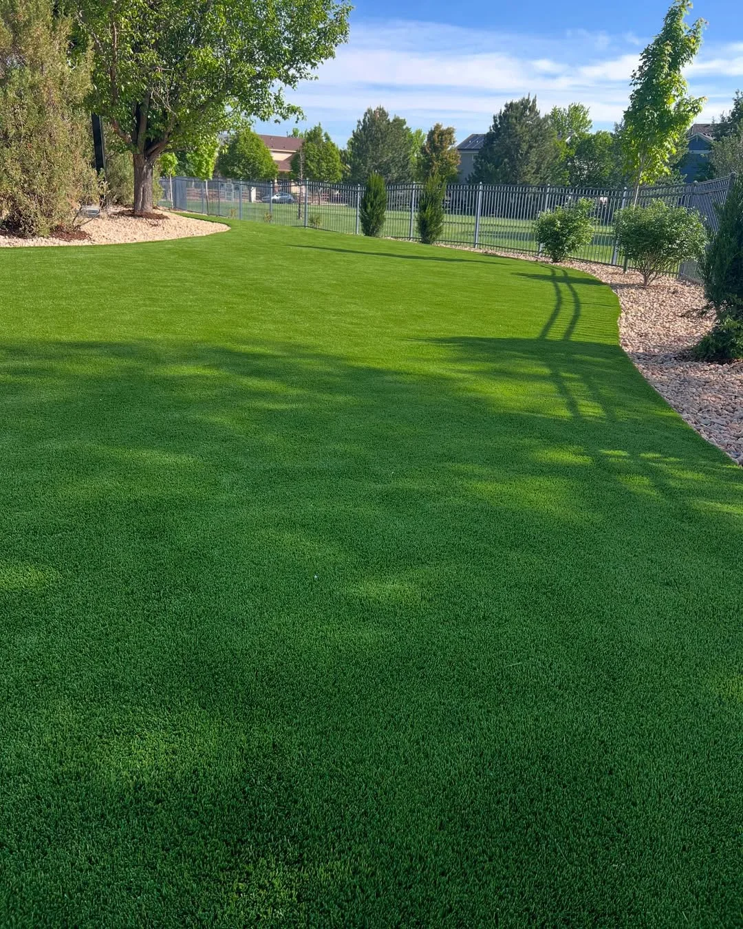 Vibrant Low-Maintenance Turf Lawn