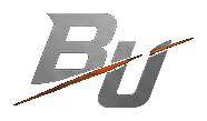 Built Unseen Official BU Mark