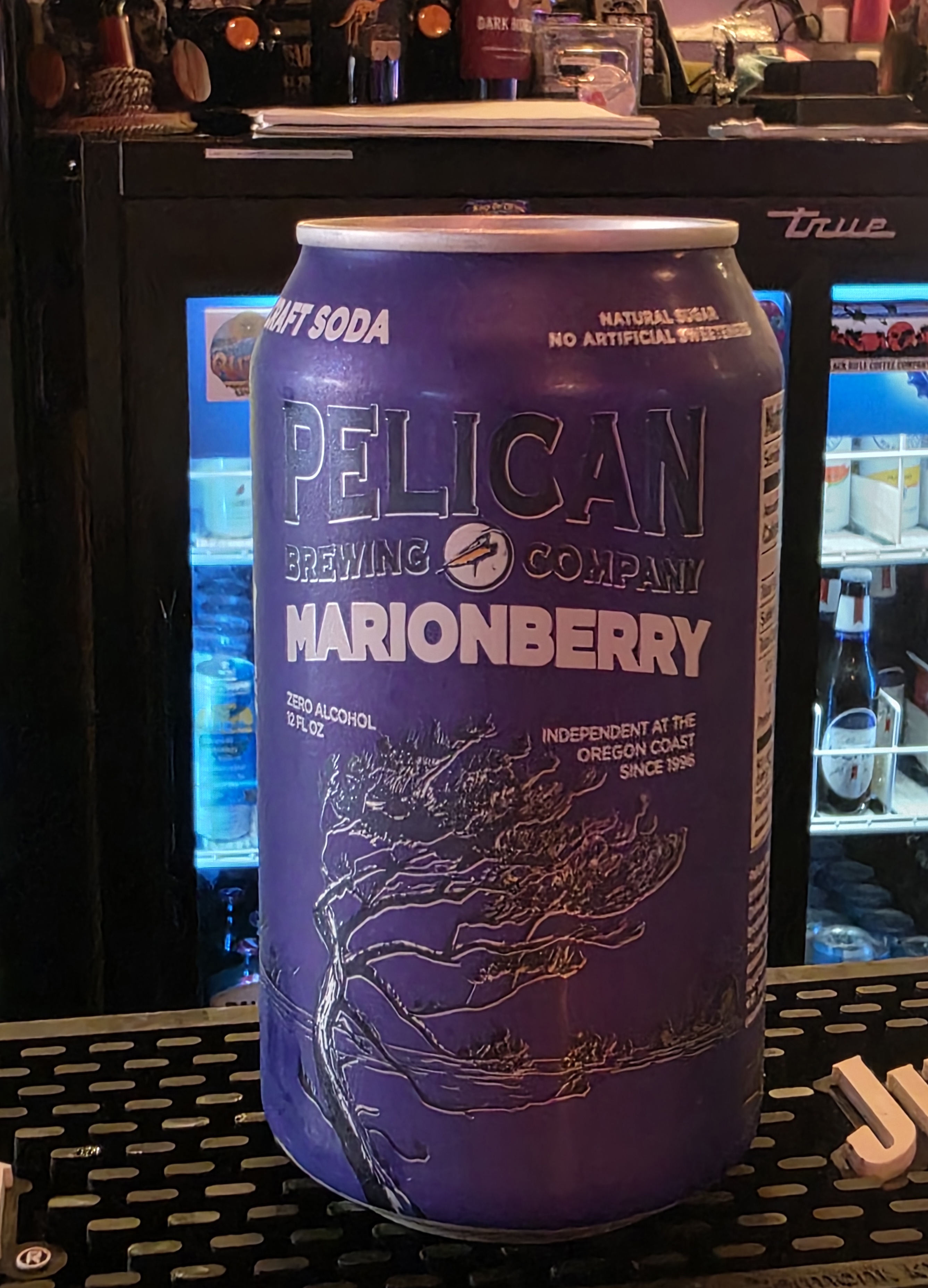 Pelican Brewing Company Marionberry Draft Soda at Wildhorse Bar & Grill