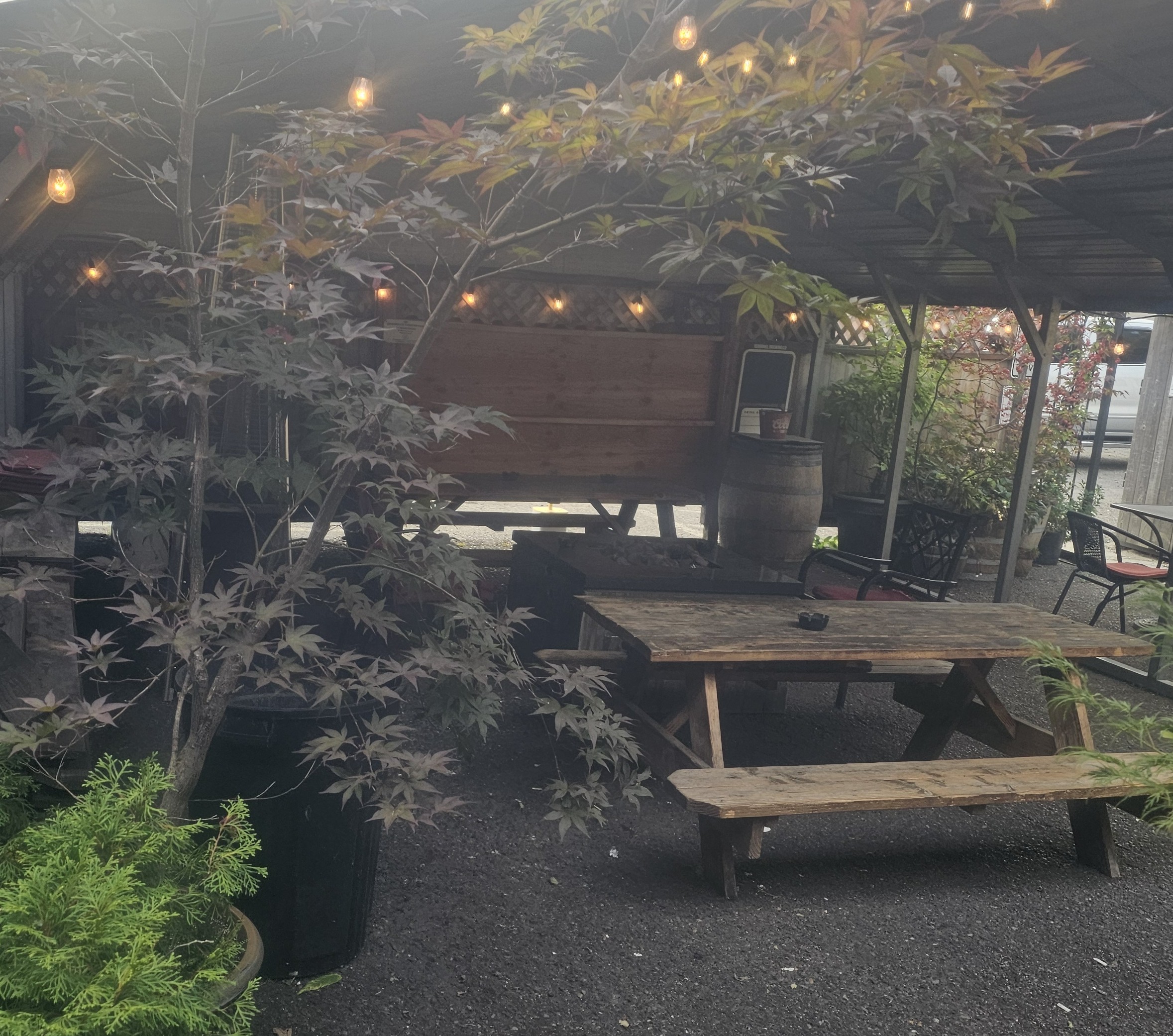 Wildhorse Bar & Grill covered outdoor patio with wooden picnic table and warm string lighting