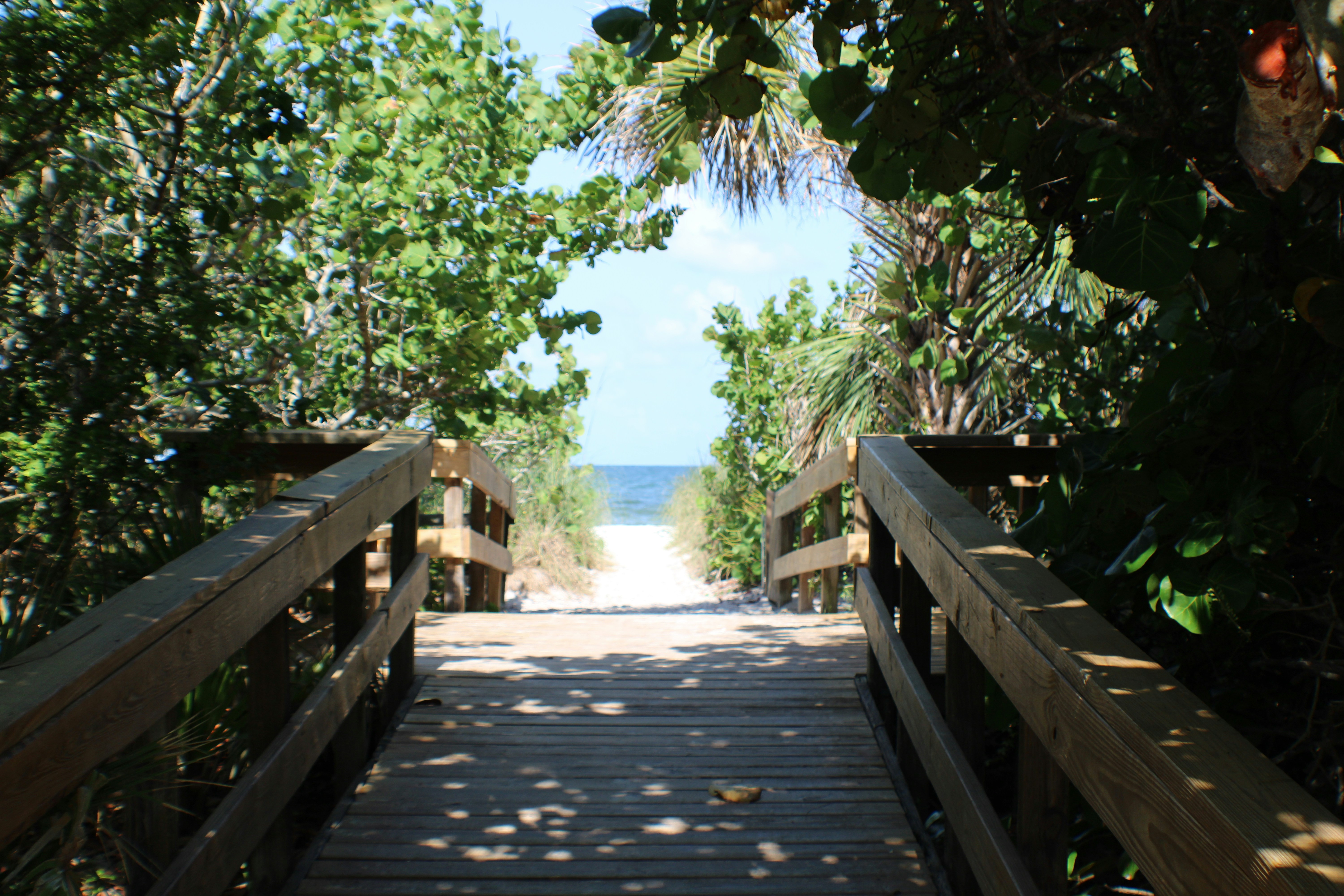 Wooden boardwalk path through coastal greenery leading to the white sand beach in North Naples, Florida