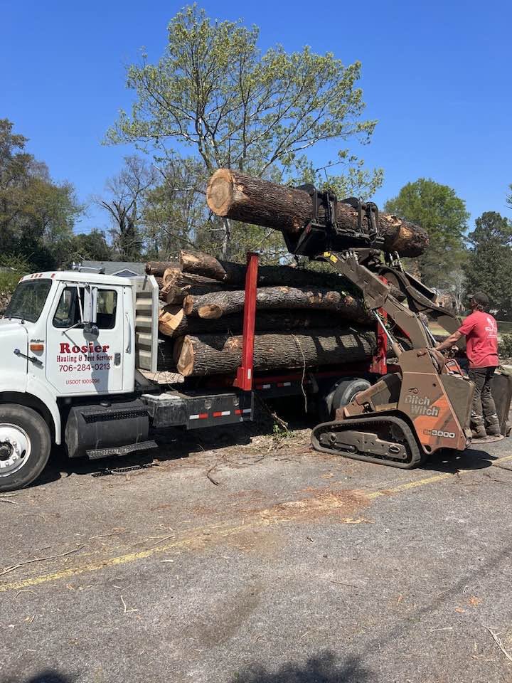 Rosier Hauling loader truck picking up large timber logs