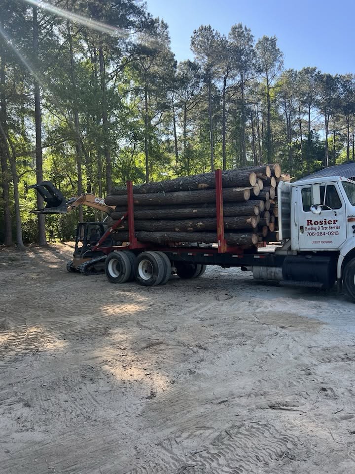 Rosier Hauling & Tree Service log truck loaded with timber and skid steer loader