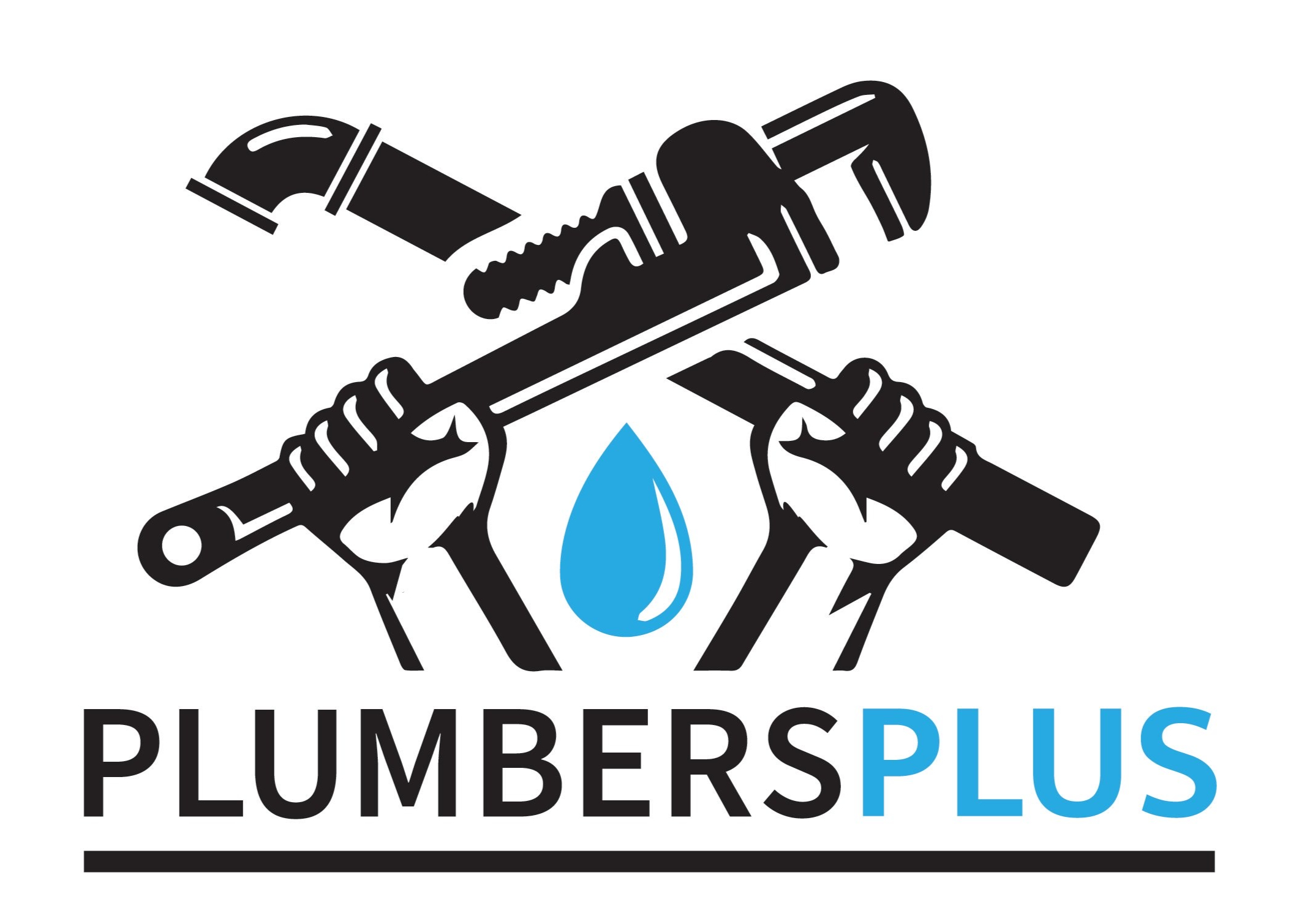 Plumbers Plus logo