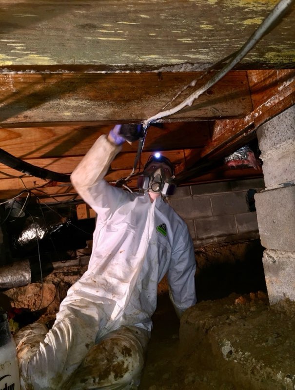 Tight Crawlspace Foundation Assessment & Treatment