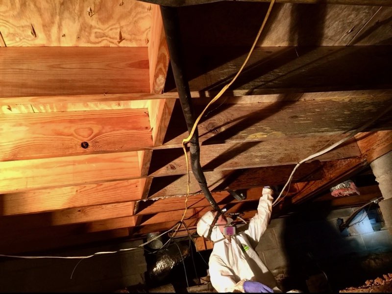 Sub-Floor Joist & Crawlspace Remediation
