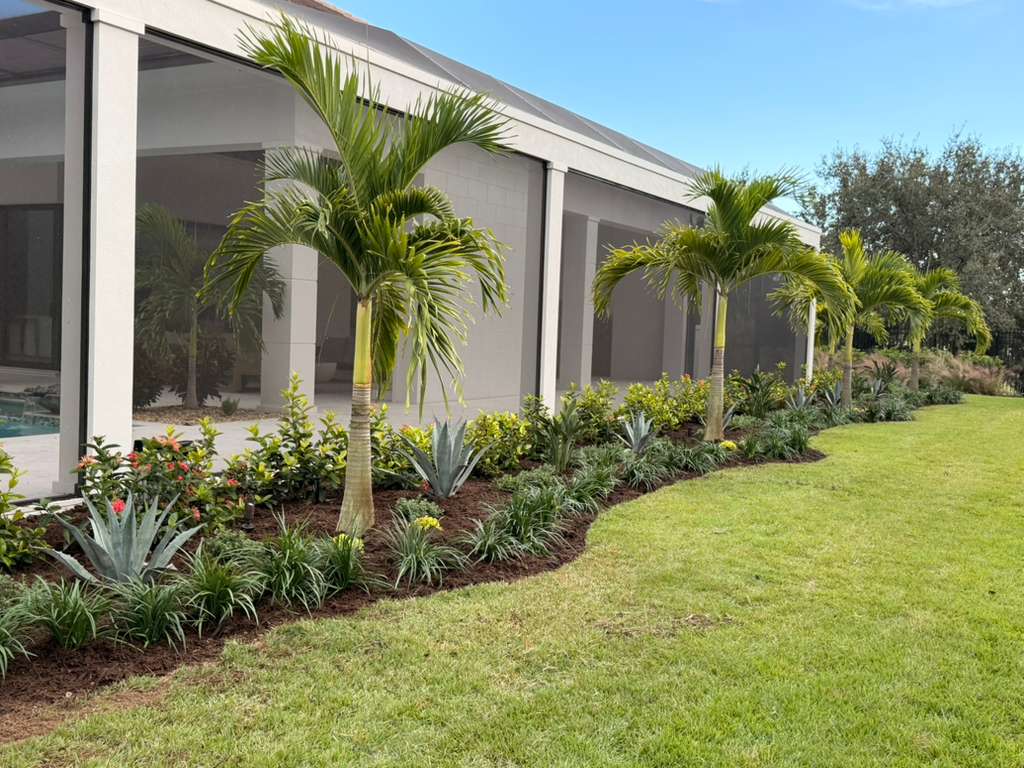 neatly mulched curved tropical garden bed with palms along screen enclosure by Aenlle Home Service LLC