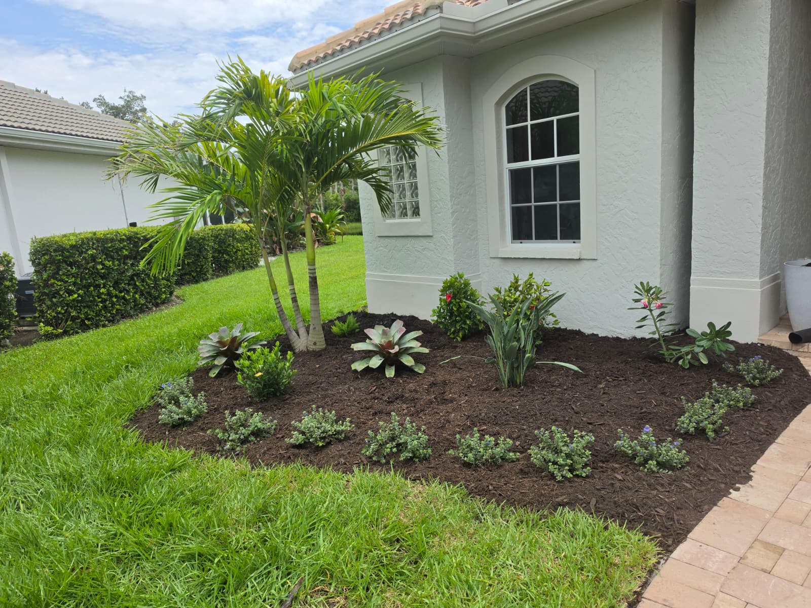 fresh foundation landscape mulch bed with palm and flowering shrubs in Lakewood Ranch FL