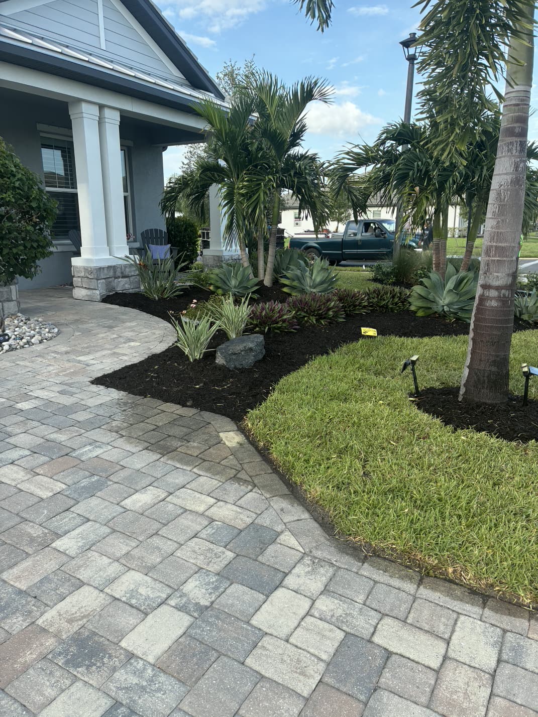 paver walkway curving along fresh mulch garden bed with palms and agaves by Aenlle Home Service LLC
