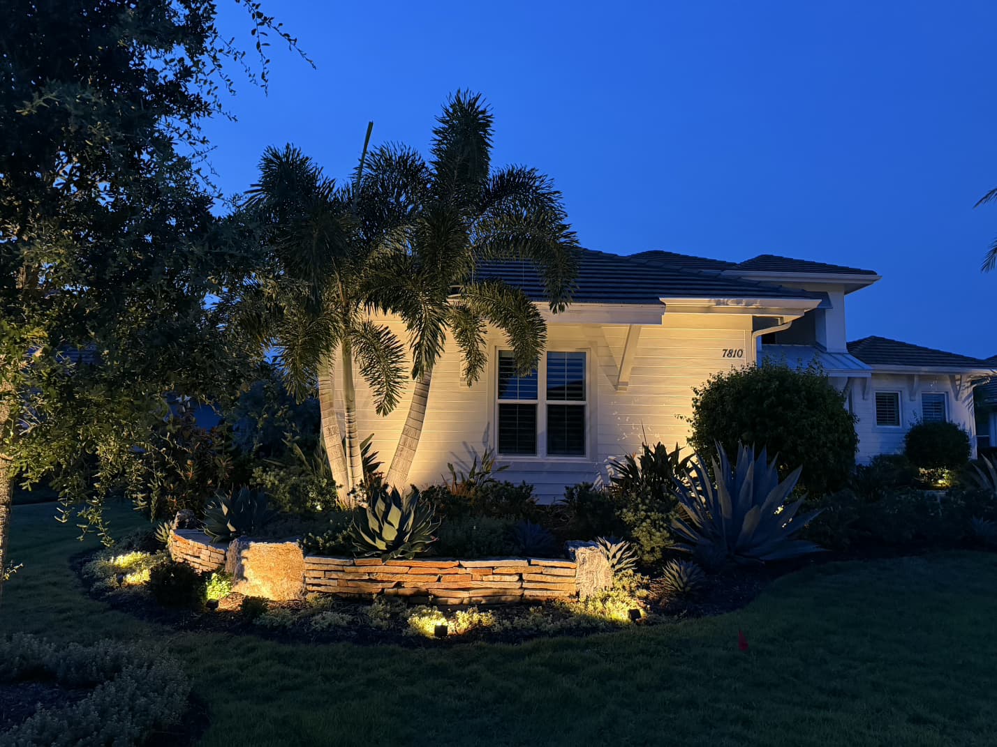 night landscape illumination on curved stone retaining wall and palm trees in Venice FL