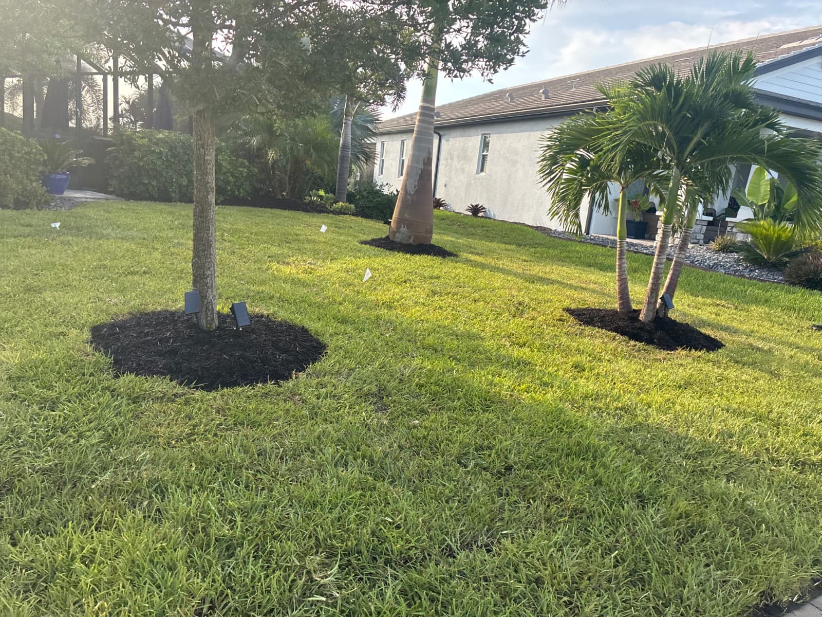 New Sod Installation project in Orlando Florida by Aenlle Home Service LLC