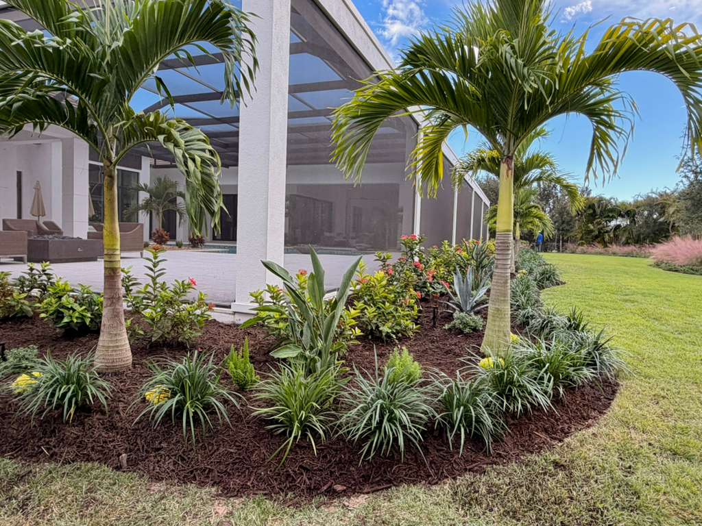 luxury pool enclosure tropical landscaping with palms and clean mulched garden edge in Bradenton FL