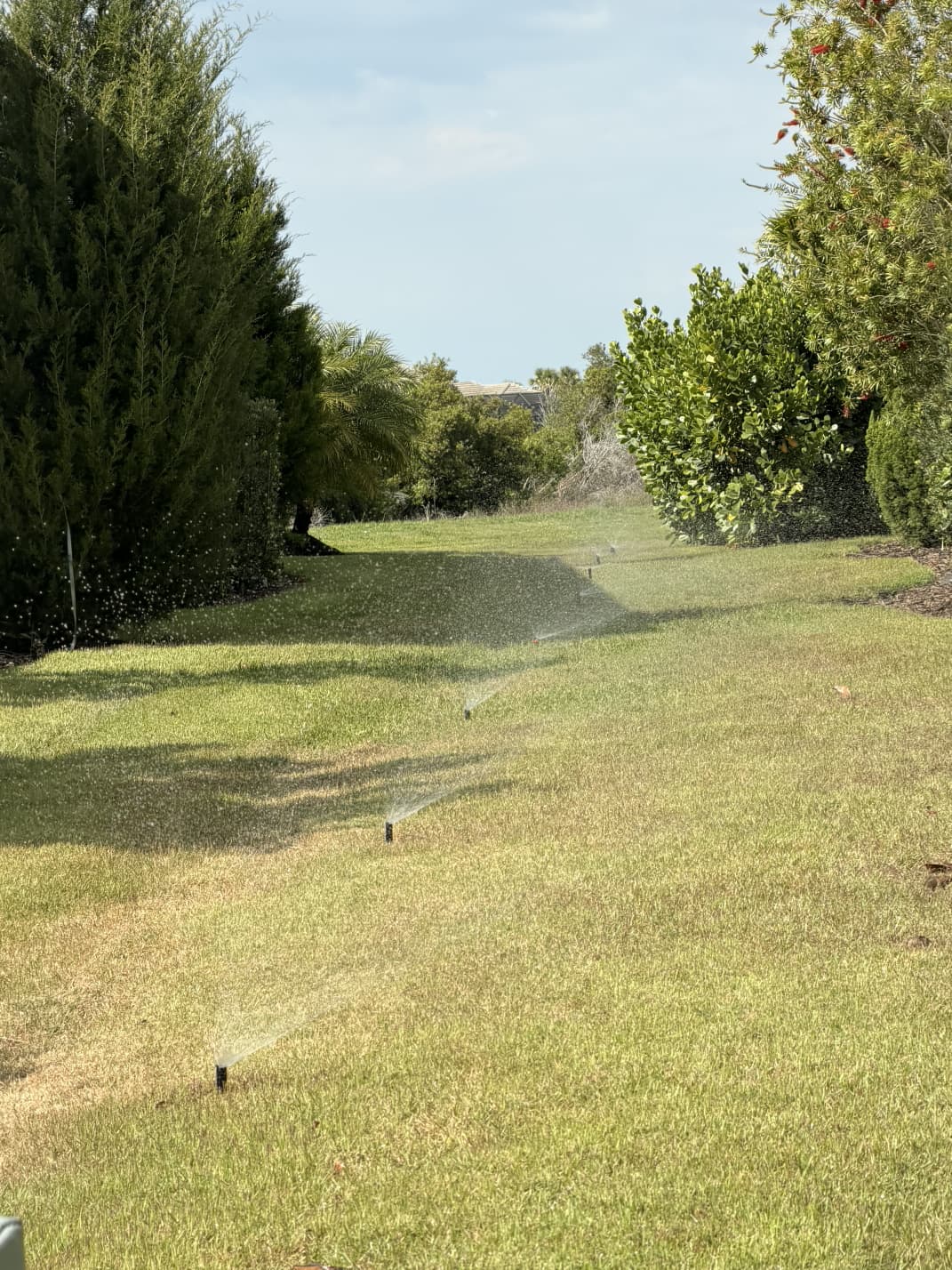 in-line rotor spray heads testing full lawn irrigation coverage along manicured turf in Florida