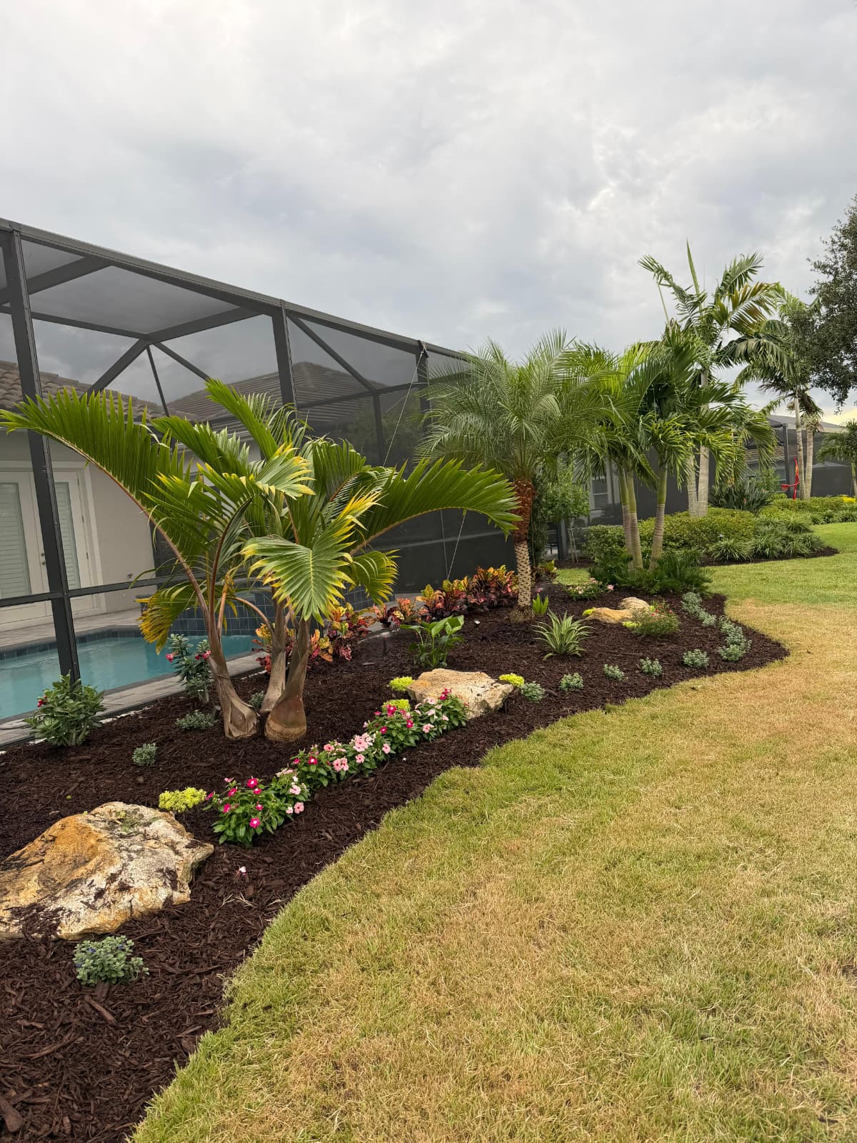 custom pool cage tropical garden bed with palms, flowering perennials, and decorative boulders by Aenlle Home Service LLC