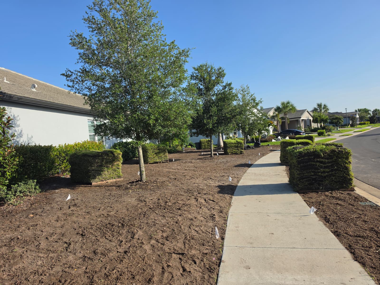 turf soil grading and fresh sod pallet preparation by Aenlle Home Service LLC