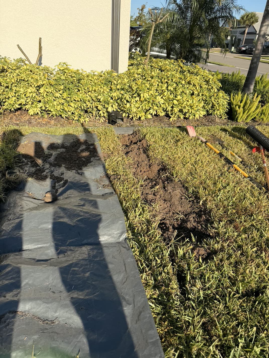 clean lawn trenching with tarp soil protection for yard drainage installation by Aenlle Home Service LLC