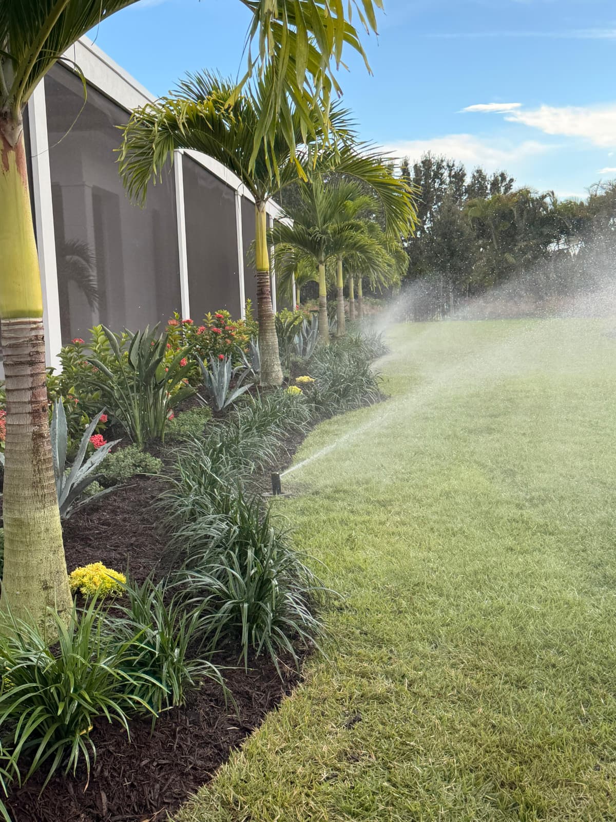 active sprinkler head watering tropical garden bed along pool cage enclosure by Aenlle Home Service LLC
