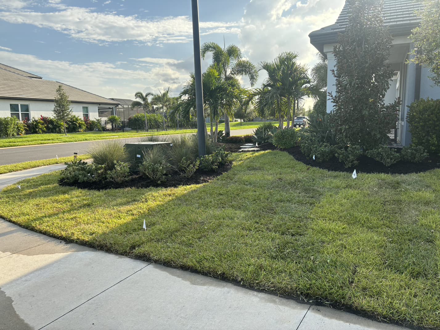 landscape mulching and lawn project completed by Aenlle Home Service LLC in Orlando FL