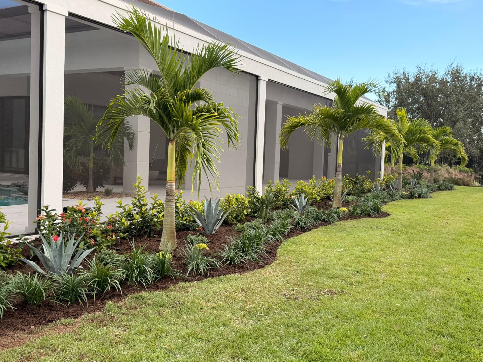 wide view of curved tropical landscape planting bed with premium dark mulch and sod in Florida