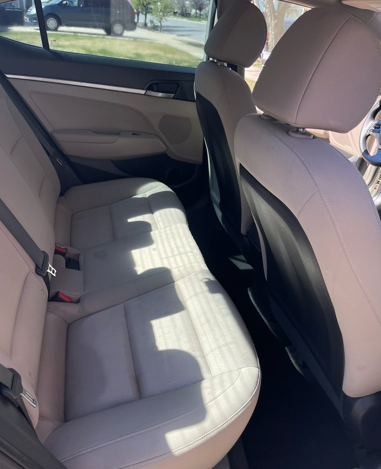 Sedan Rear Seating & Carpet Shampoo Detail