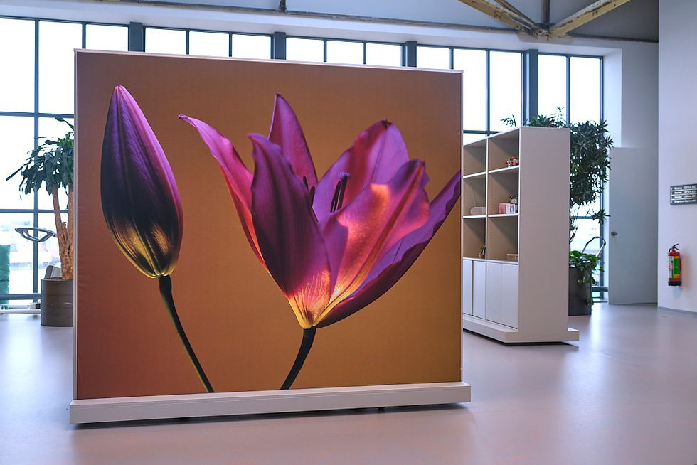 Vrijstaande textielwand display met bloemprint in showroom