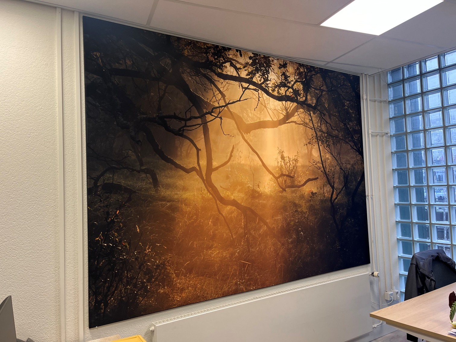 Wandbekleding en prints voor kantoorinrichting