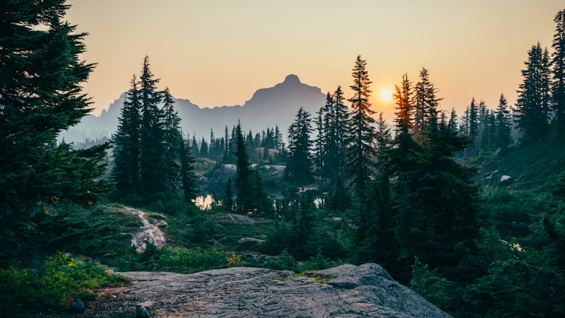 Rockford outdoor scenery