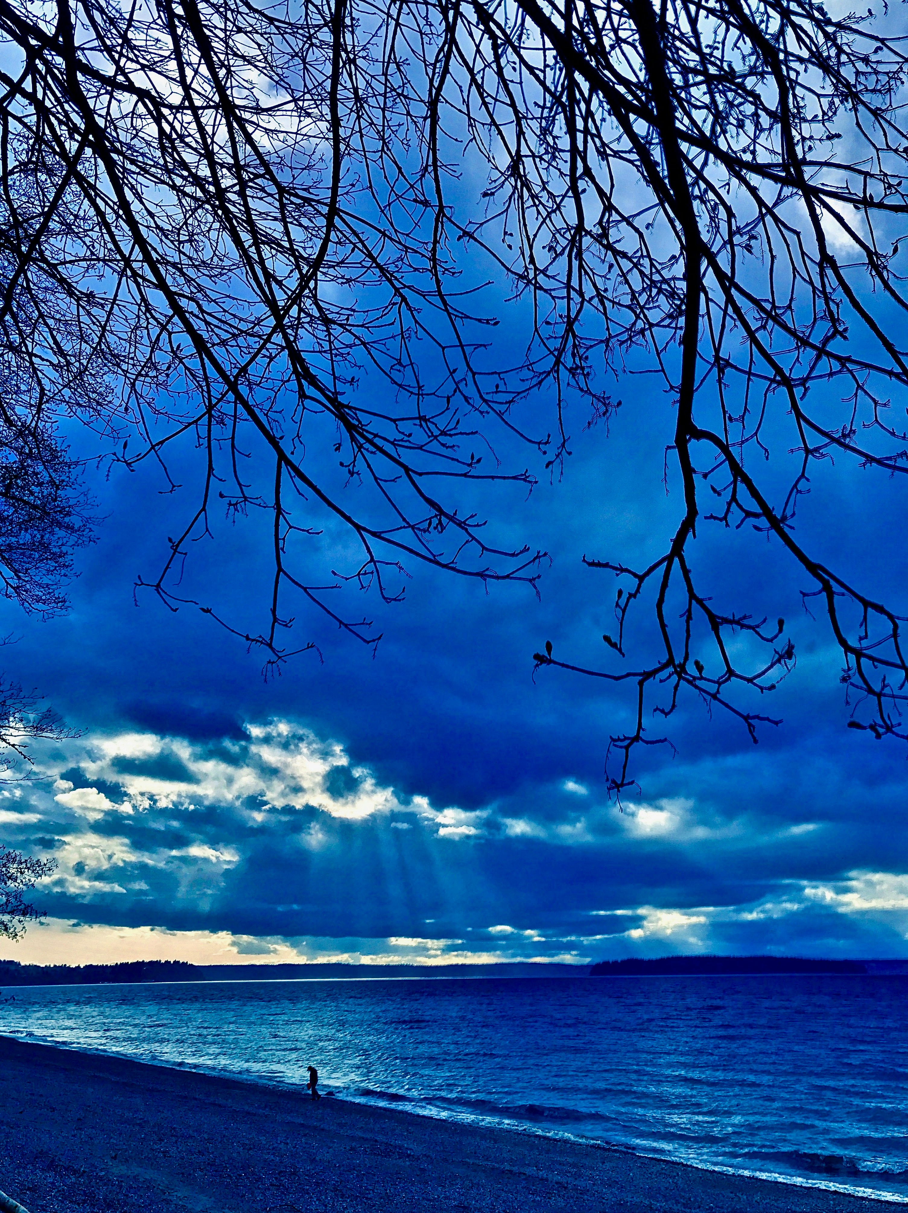 Lake Michigan shoreline for water activities
