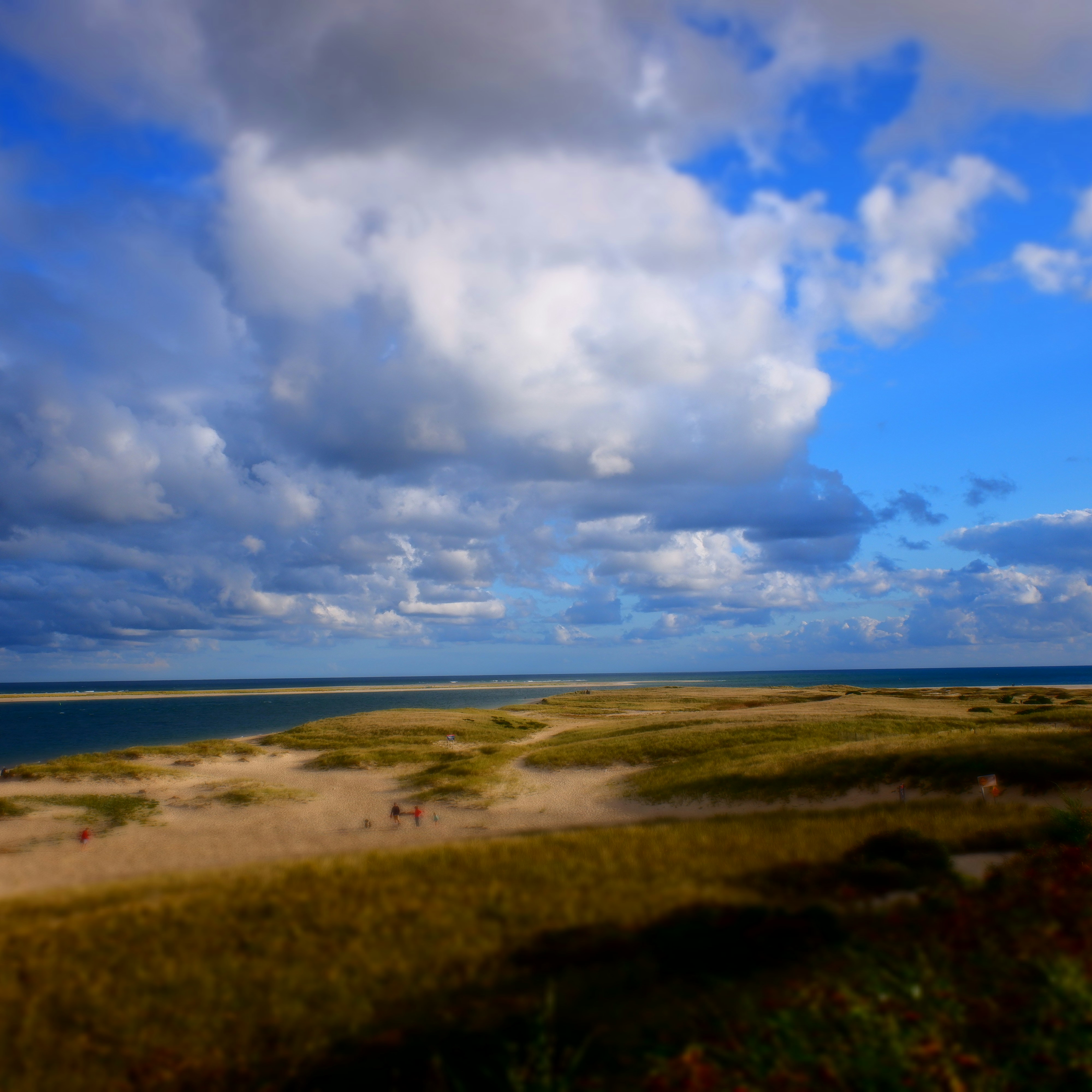 Saugatuck Outdoor Guide overview