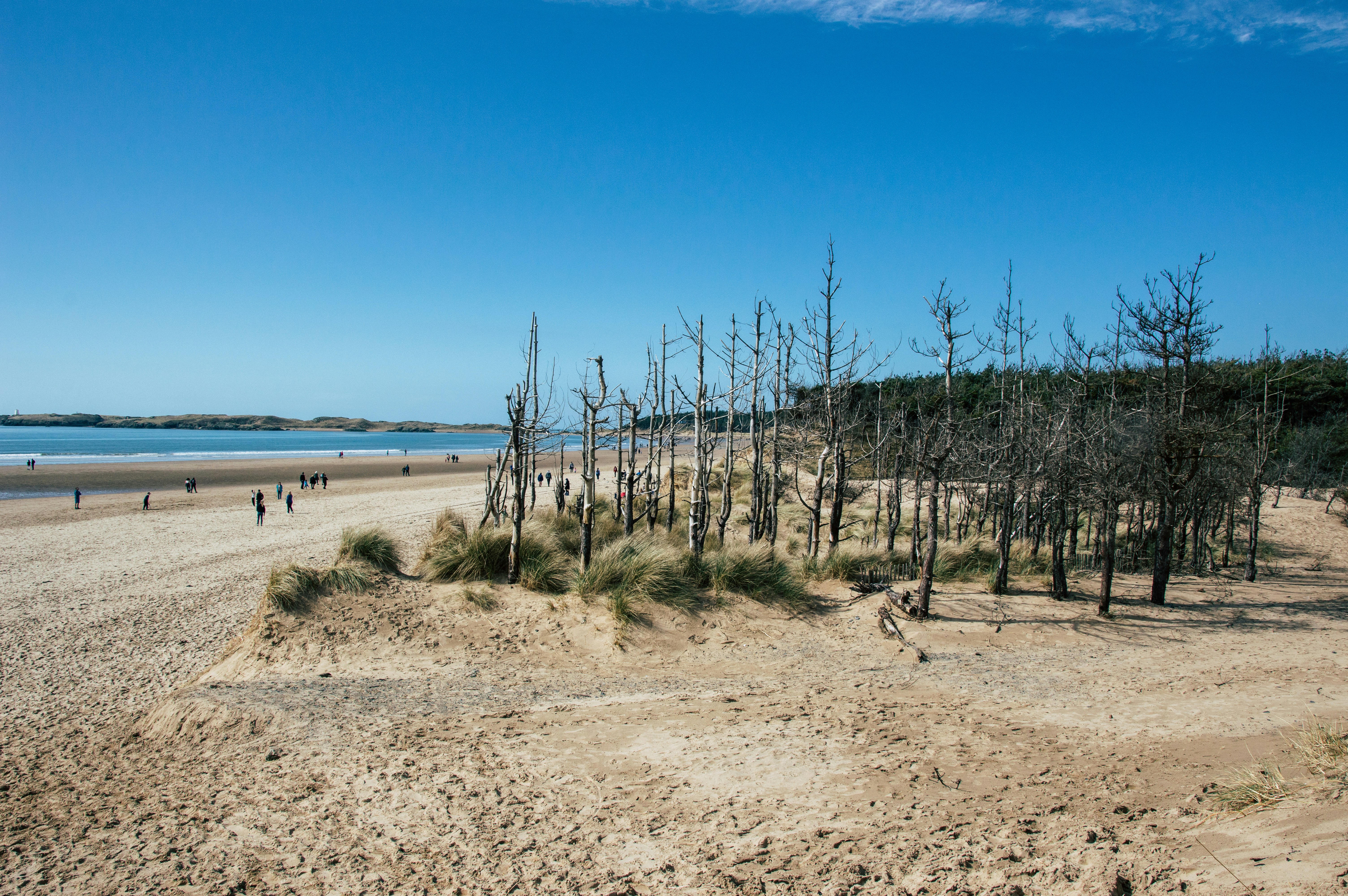 Muskegon Outdoor Guide overview
