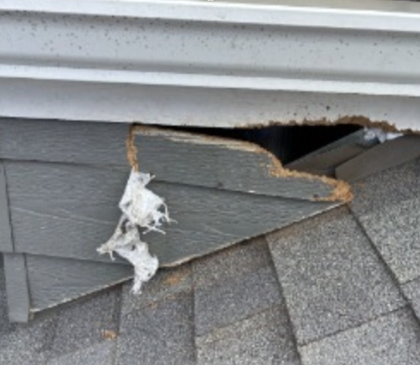 Roofline Eave & Siding Breach - Before
