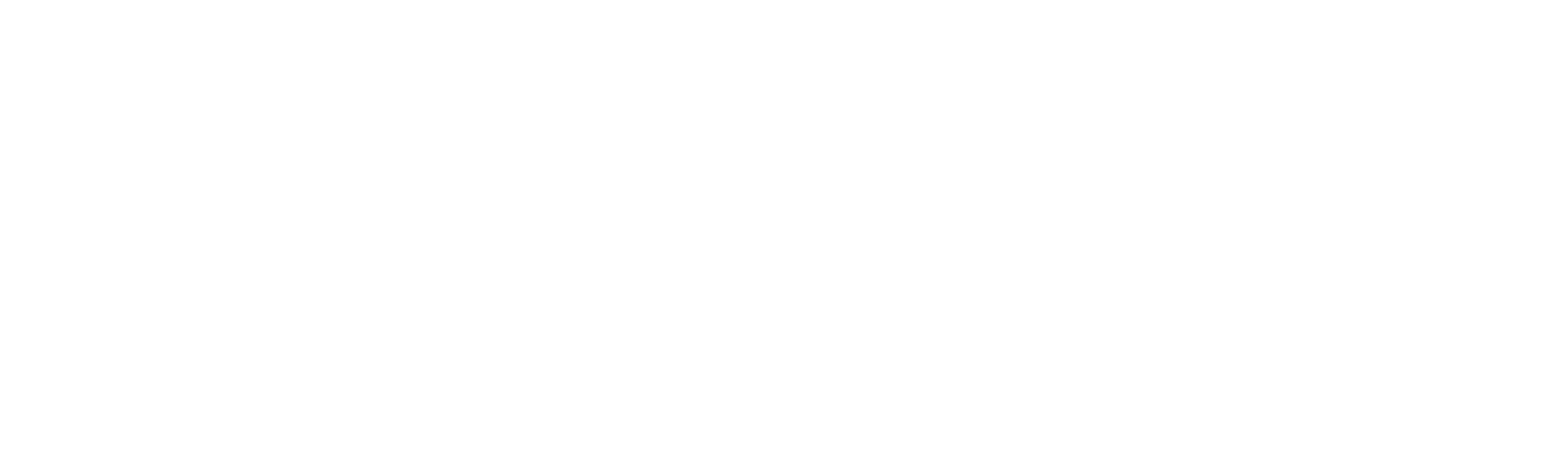 Lucid Management