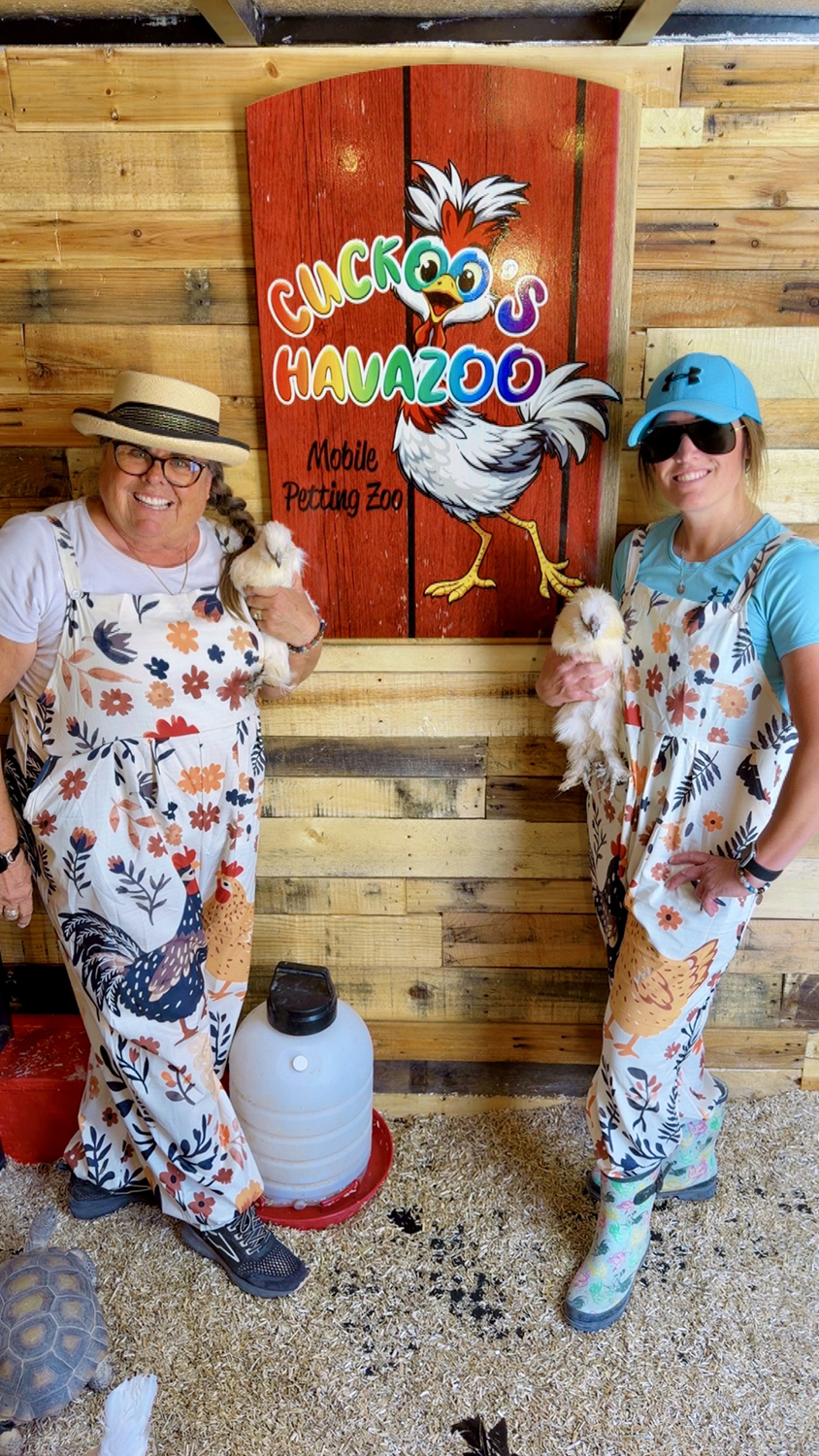Silkie Chickens & Havazoo Fun