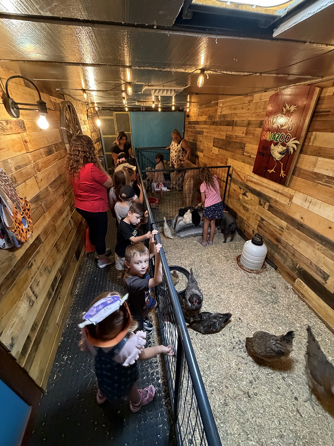Barnyard Walkthrough