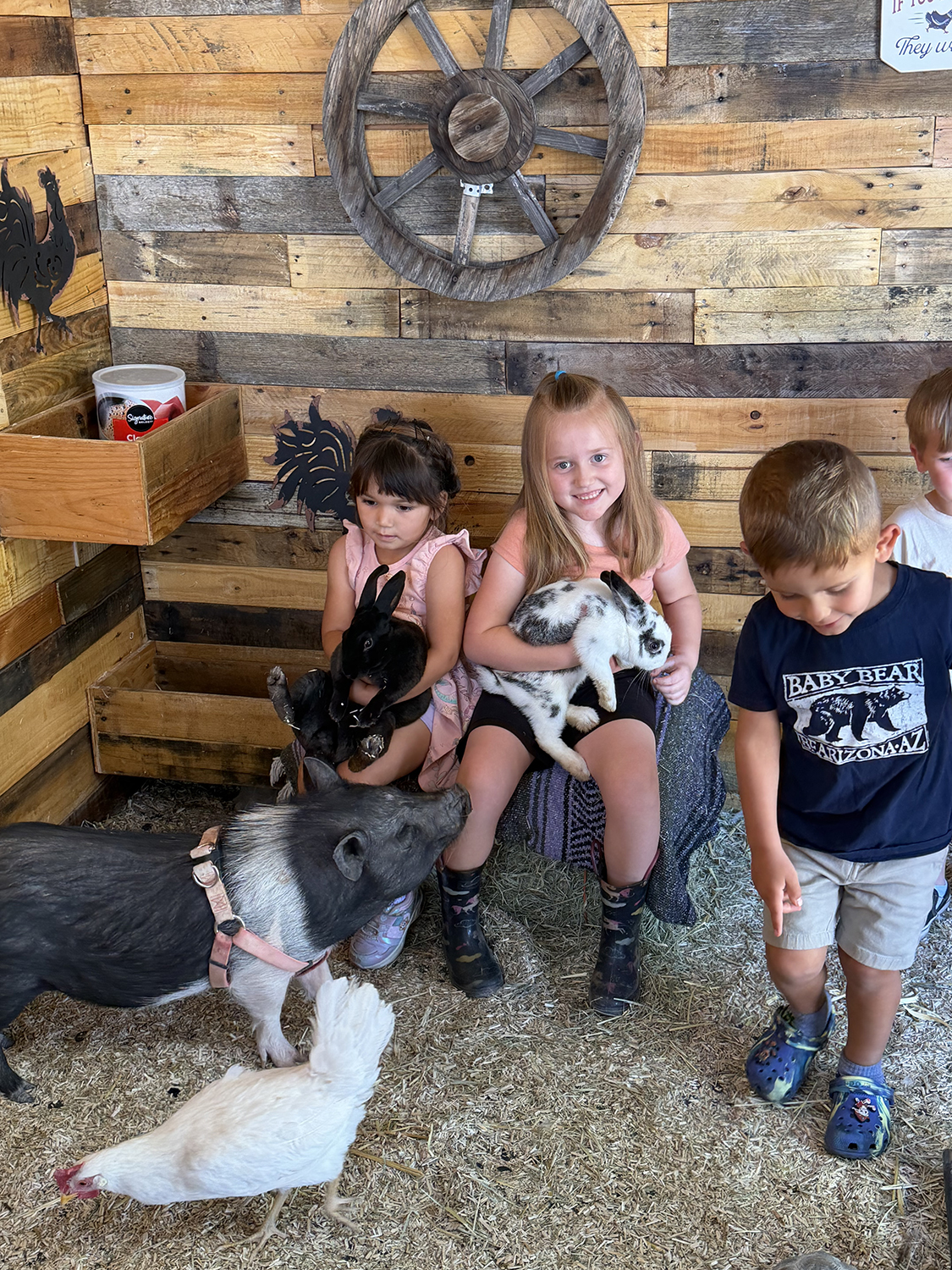 Bunnies, Piglet & Chicken Fun