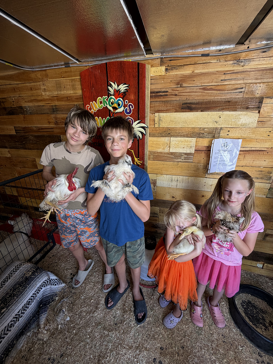 Barn Buddies & Chicken Hugs