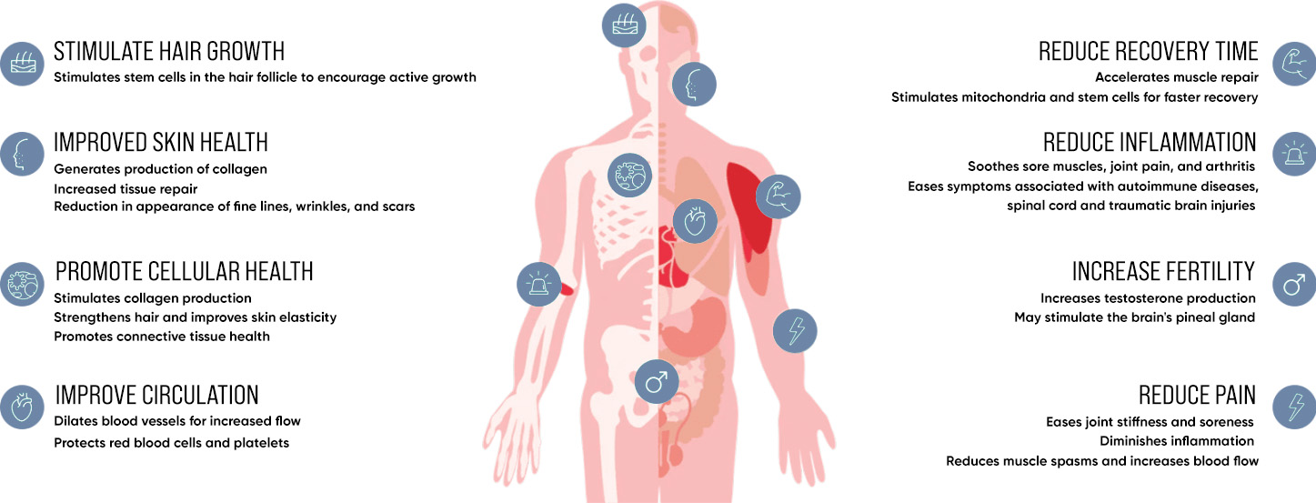 Cellular and organ level red light therapy benefits