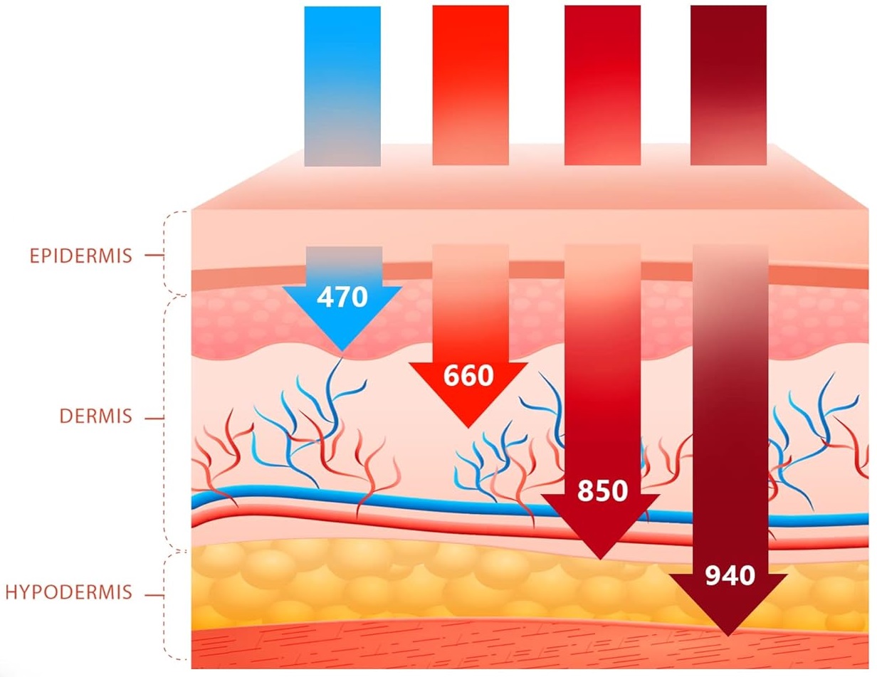 Light wavelength penetration depth: 470nm, 660nm, 850nm, 940nm