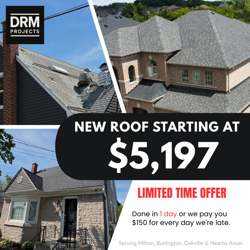 DRM Projects - Roofing Special Ad