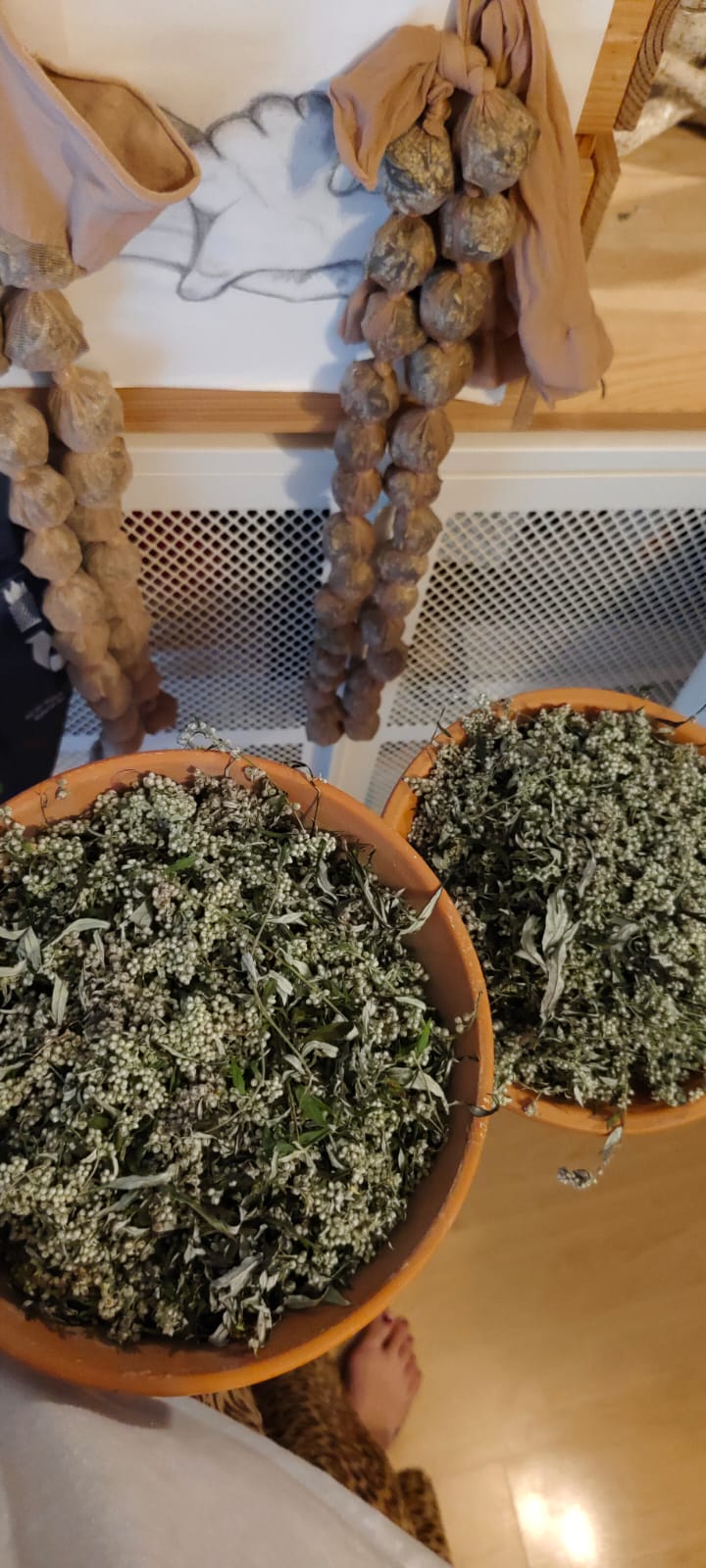 Beifußknospen in Tonschalen für Räuchermischungen Geerntete Beifußknospen Artemisia vulgaris in Tonschalen bereit für Räuchermischungen