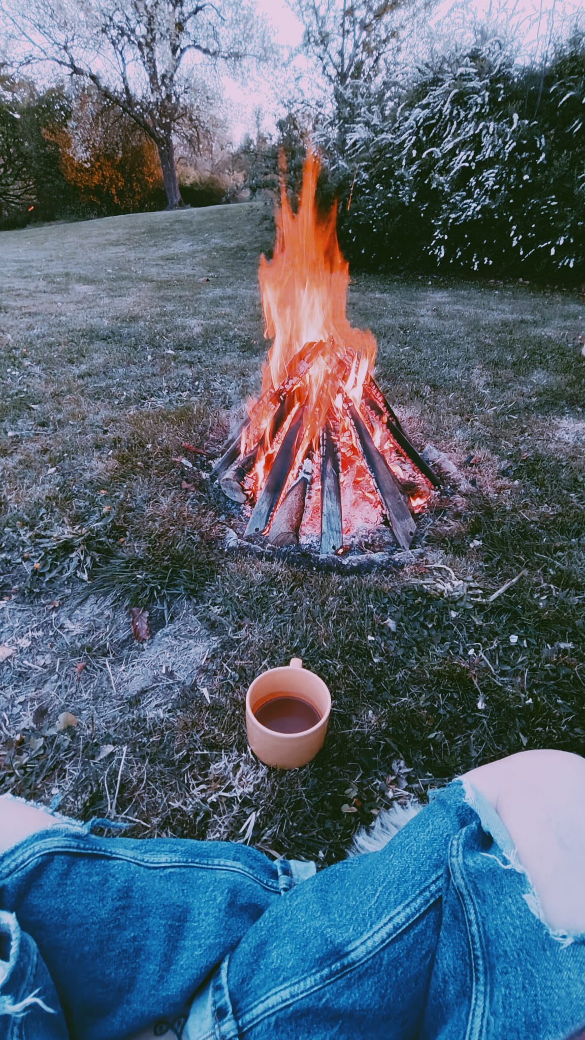 Menschen rund um ein Feuer im verschneiten Wald — der Kreis am Feuer