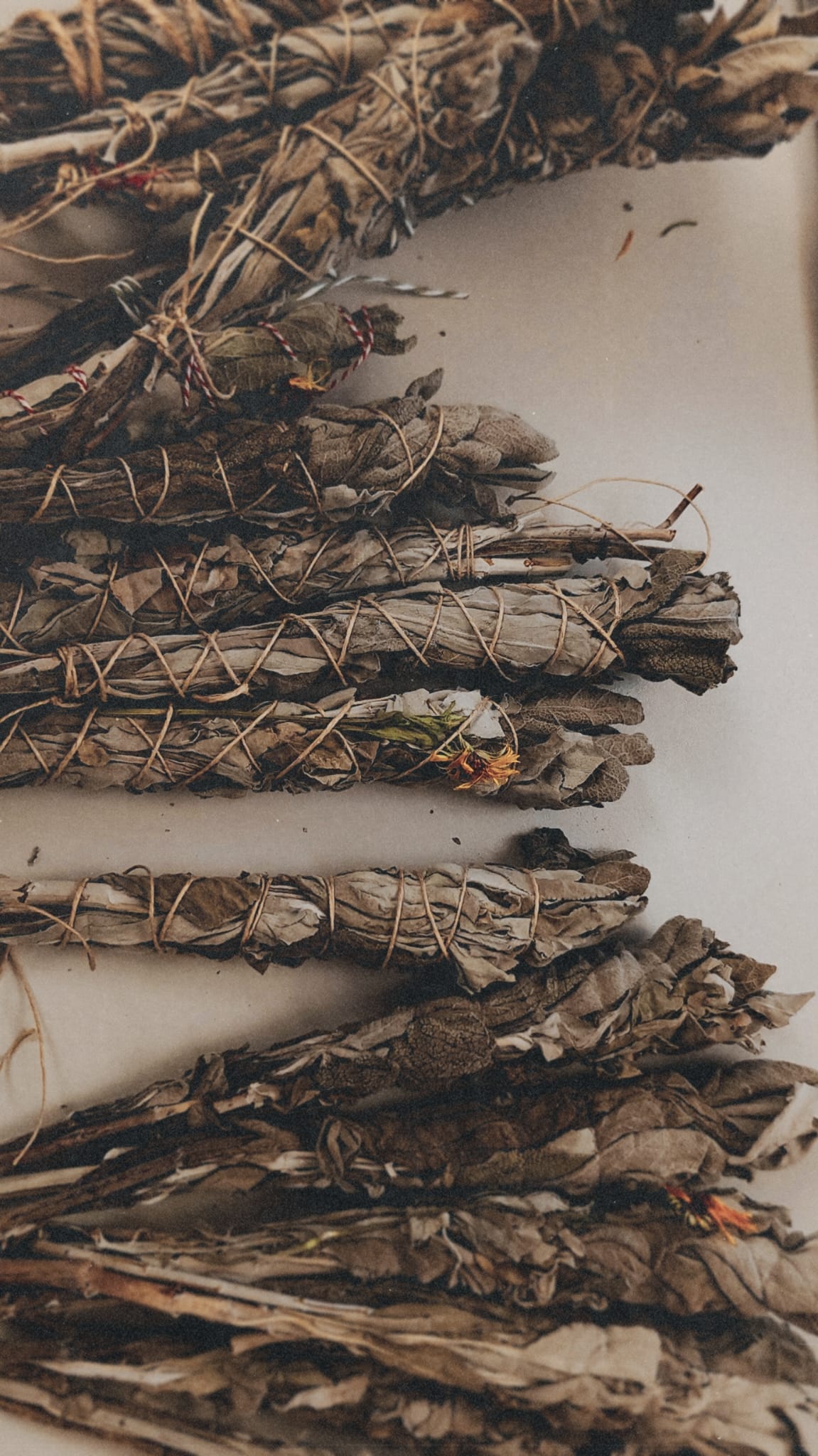 Handgebundene Salbei- und Kräuterbündel getrocknet Getrocknete handgebundene Kräuterbündel und Salbei Smudge Sticks mit Blüten bereit zur Räucherung