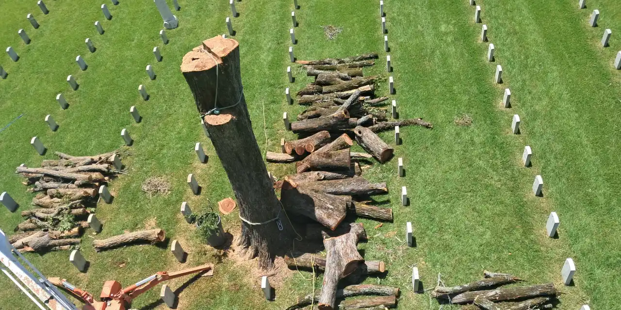 Aerial view of a hazard tree reduced to a rigged spar between rows of headstones at a national cemetery, with cut wood staged clear of the markers.