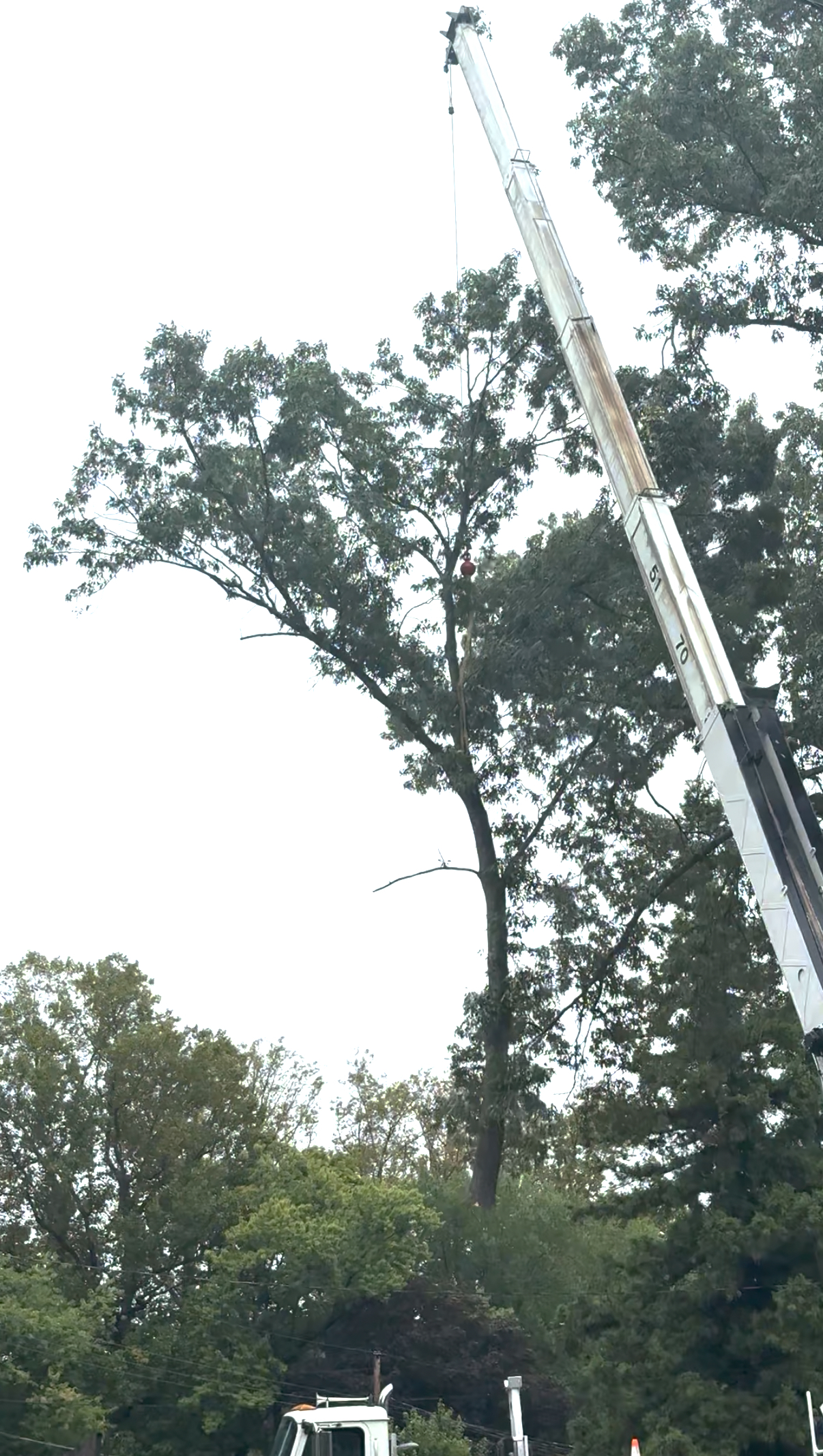 Crane Service by Chris Tree Services in Maryland