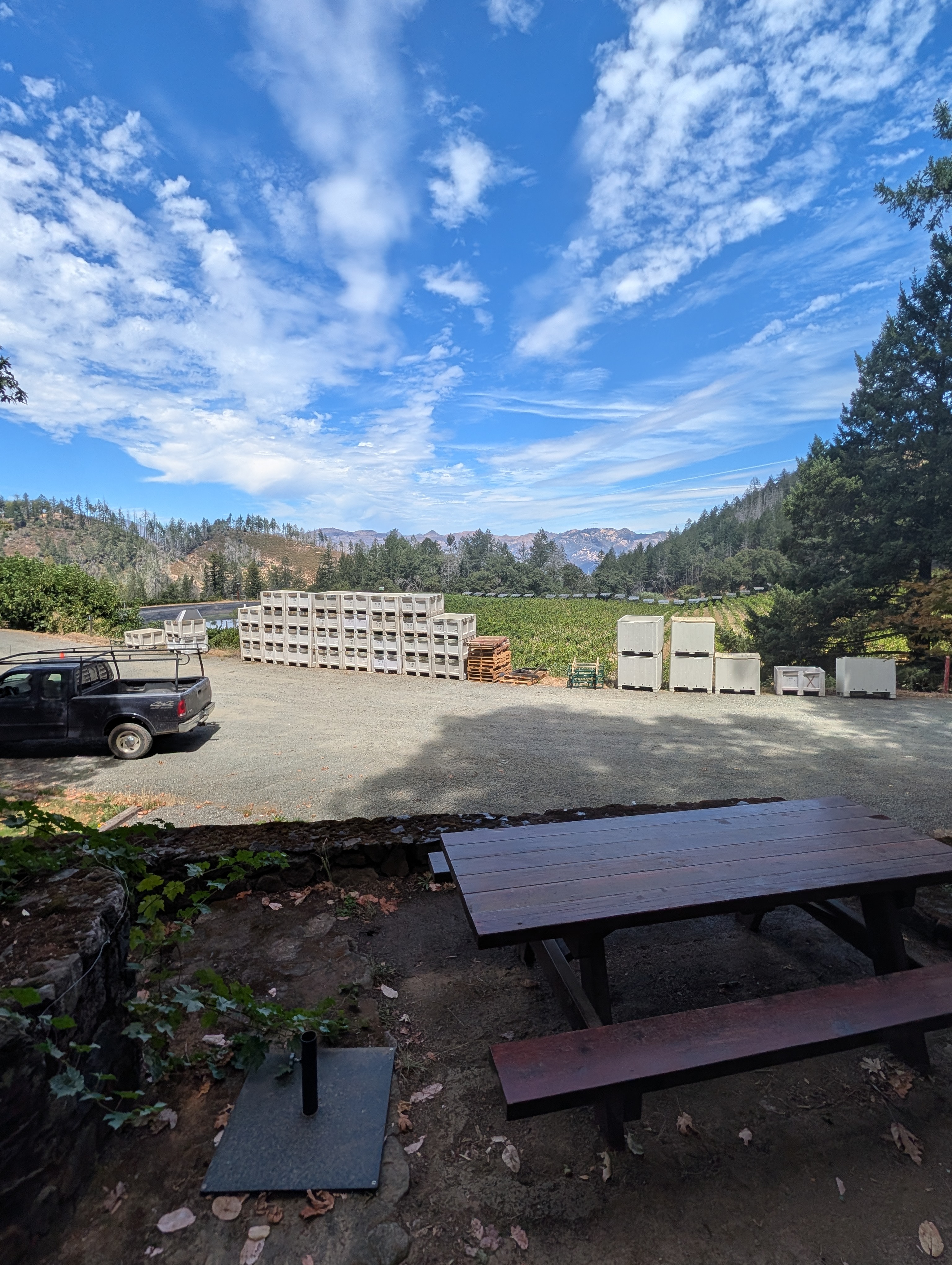 Sonoma wine country vineyard view with harvest bins and tasting overlook