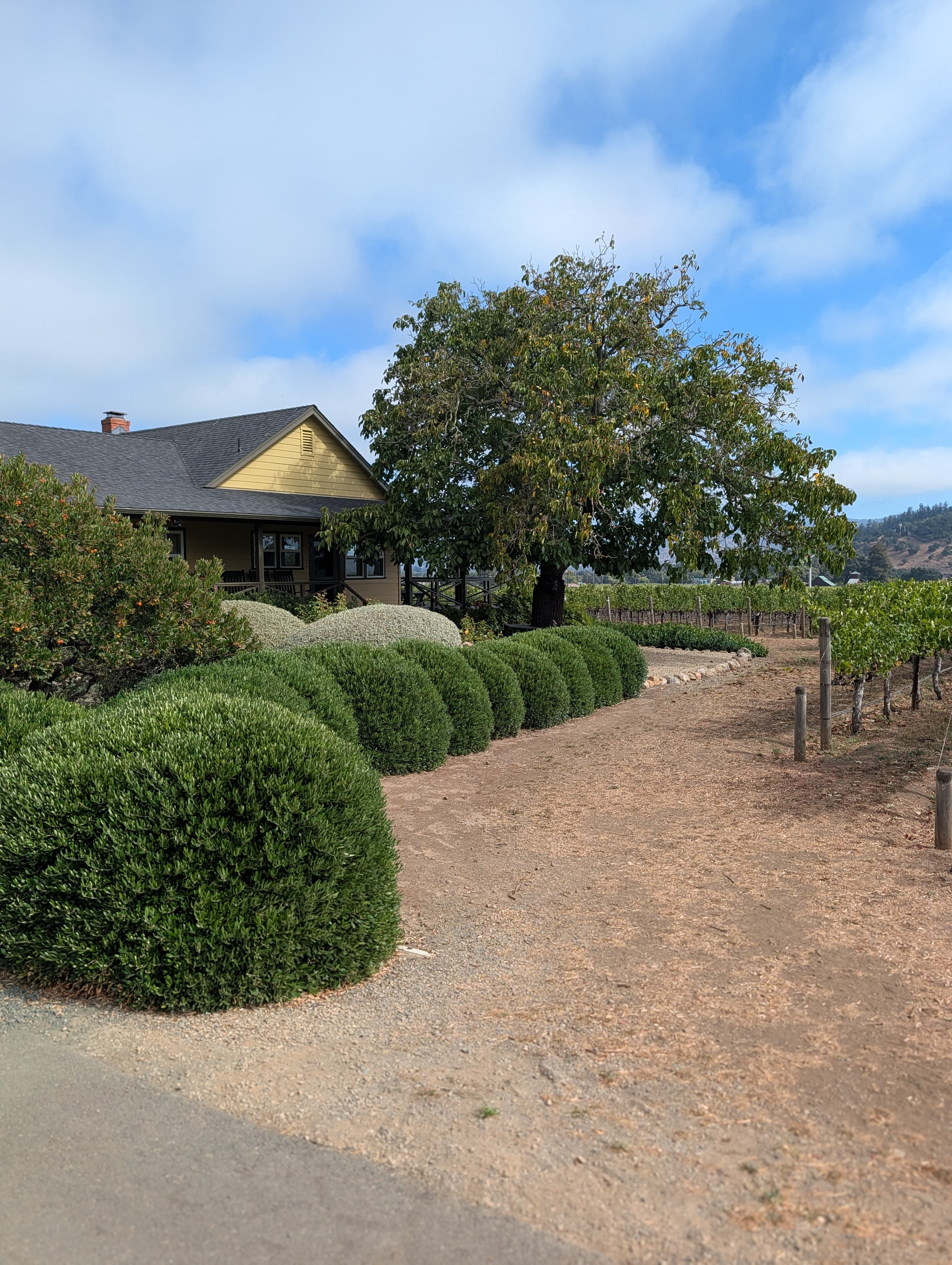 Napa Valley vineyard estate and cellar grounds