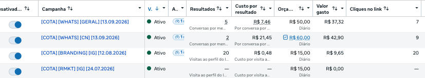 TRÁFEGO PAGO
