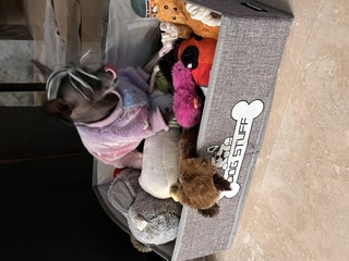 I have inspected the toy box and determined it is, in fact, my box. The toys may remain as tenants. Their leases are month-to-month.